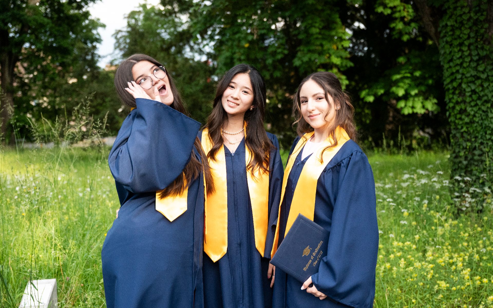 International School of Schaffhausen — Arts