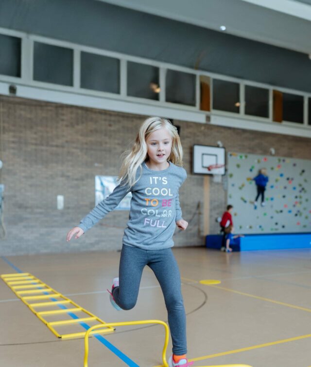 International School of Zug and Luzern — Arts