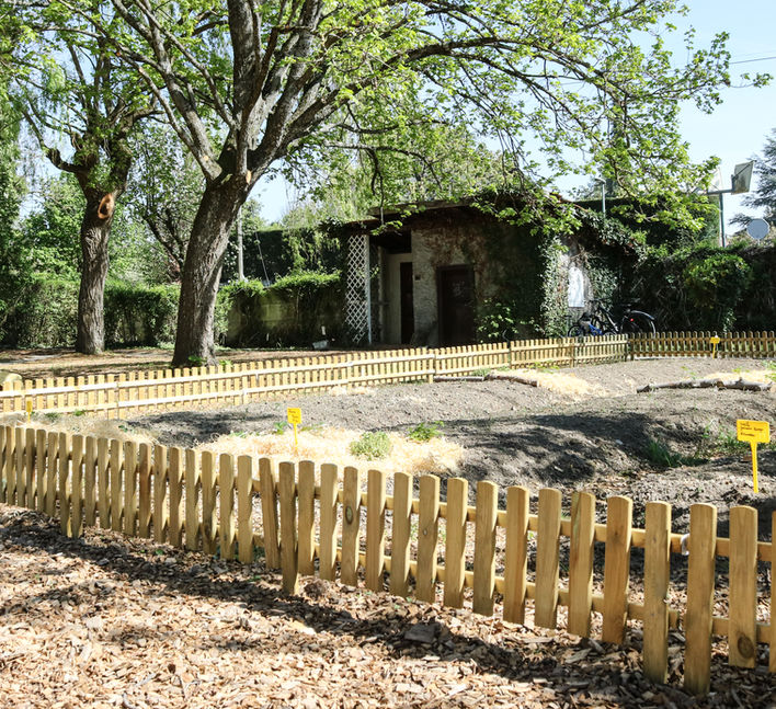Montessori Rive Gauche — Arts