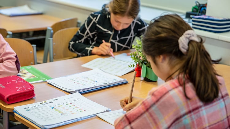 Tandem International Multilingual School — Campus