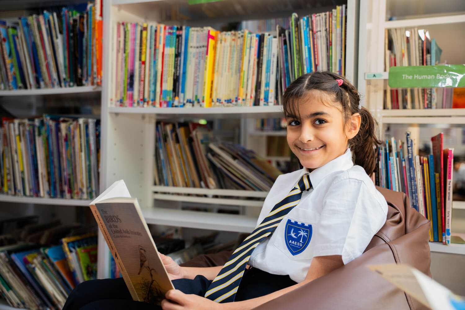 Al Ain English Speaking School — Arts