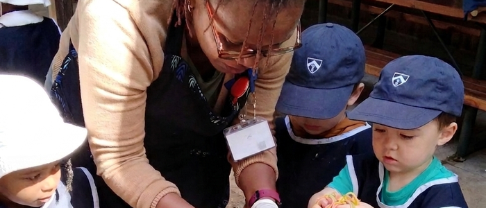 Braeburn Nanyuki International School — Arts