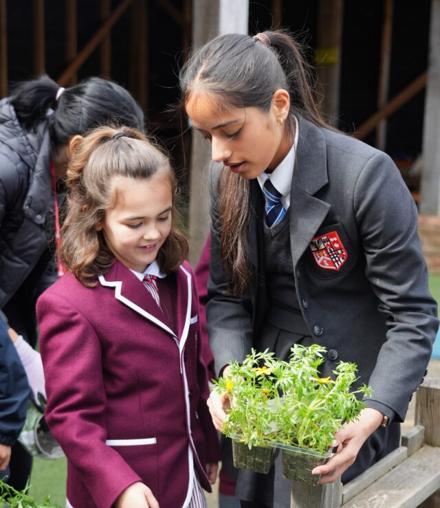 Brentwood School — Boarding