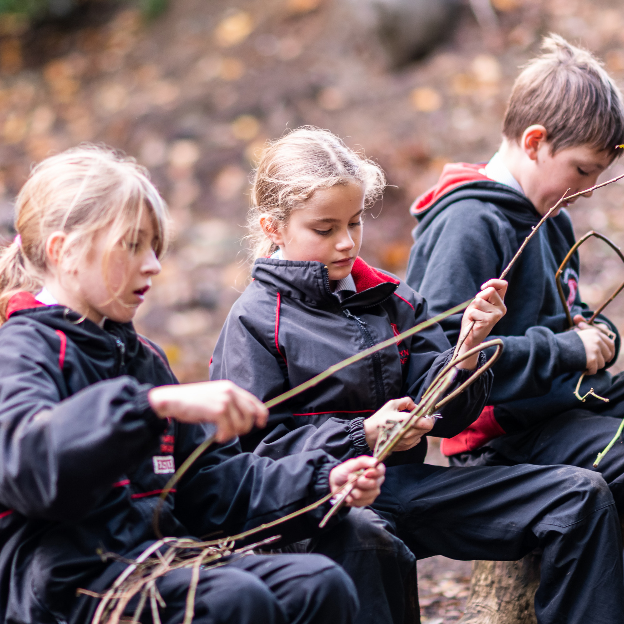 Chafyn Grove School — Boarding