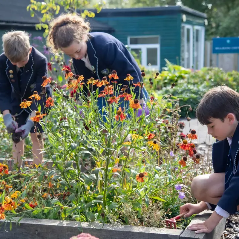 Feltonfleet School — Boarding