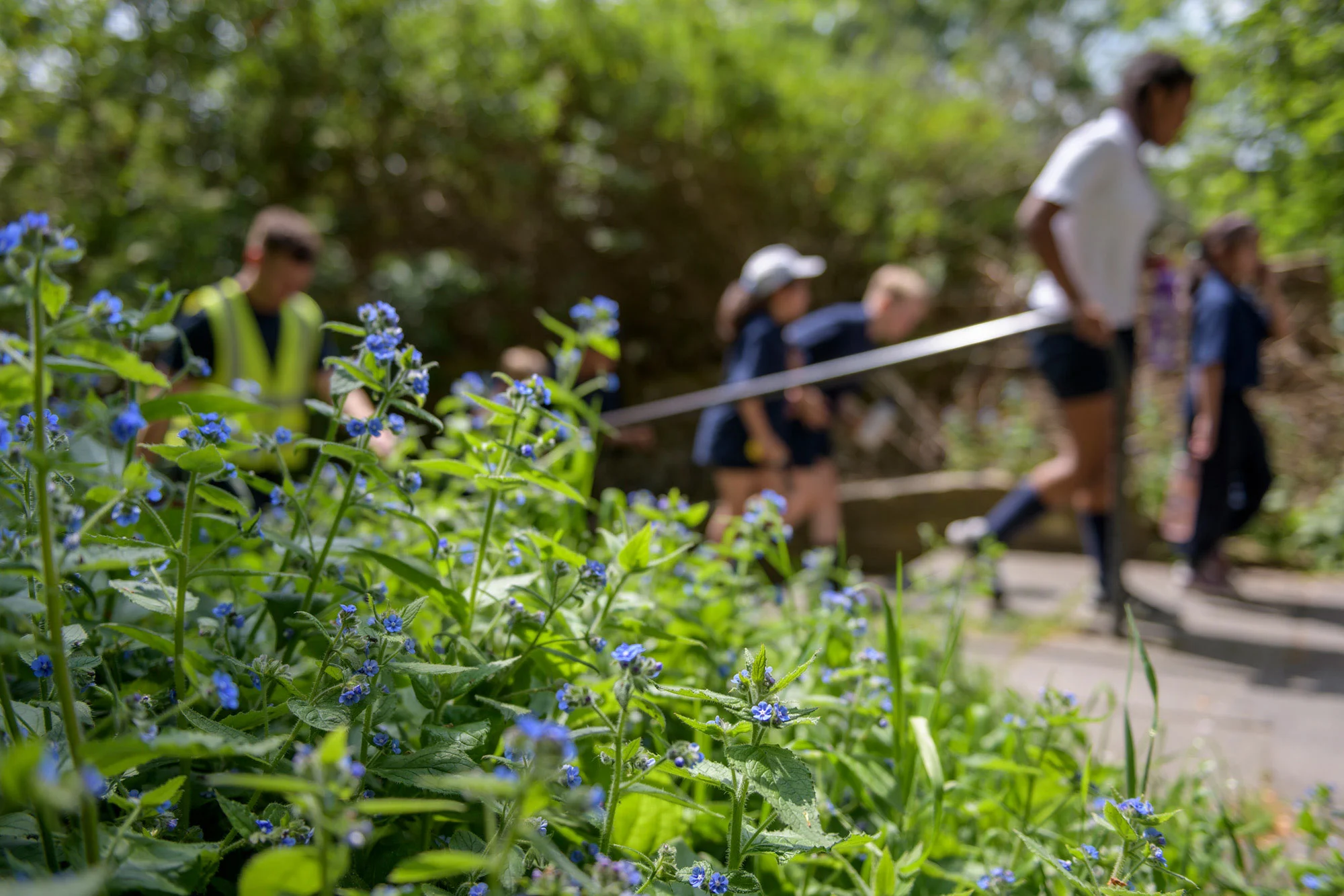 Heath House Preparatory School — Boarding