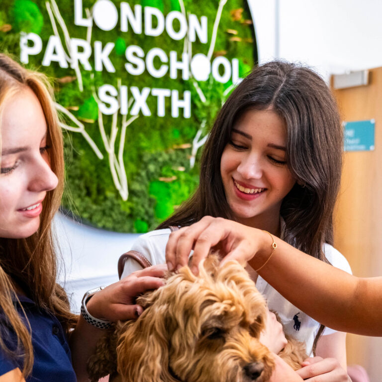 London Park Schools — Arts