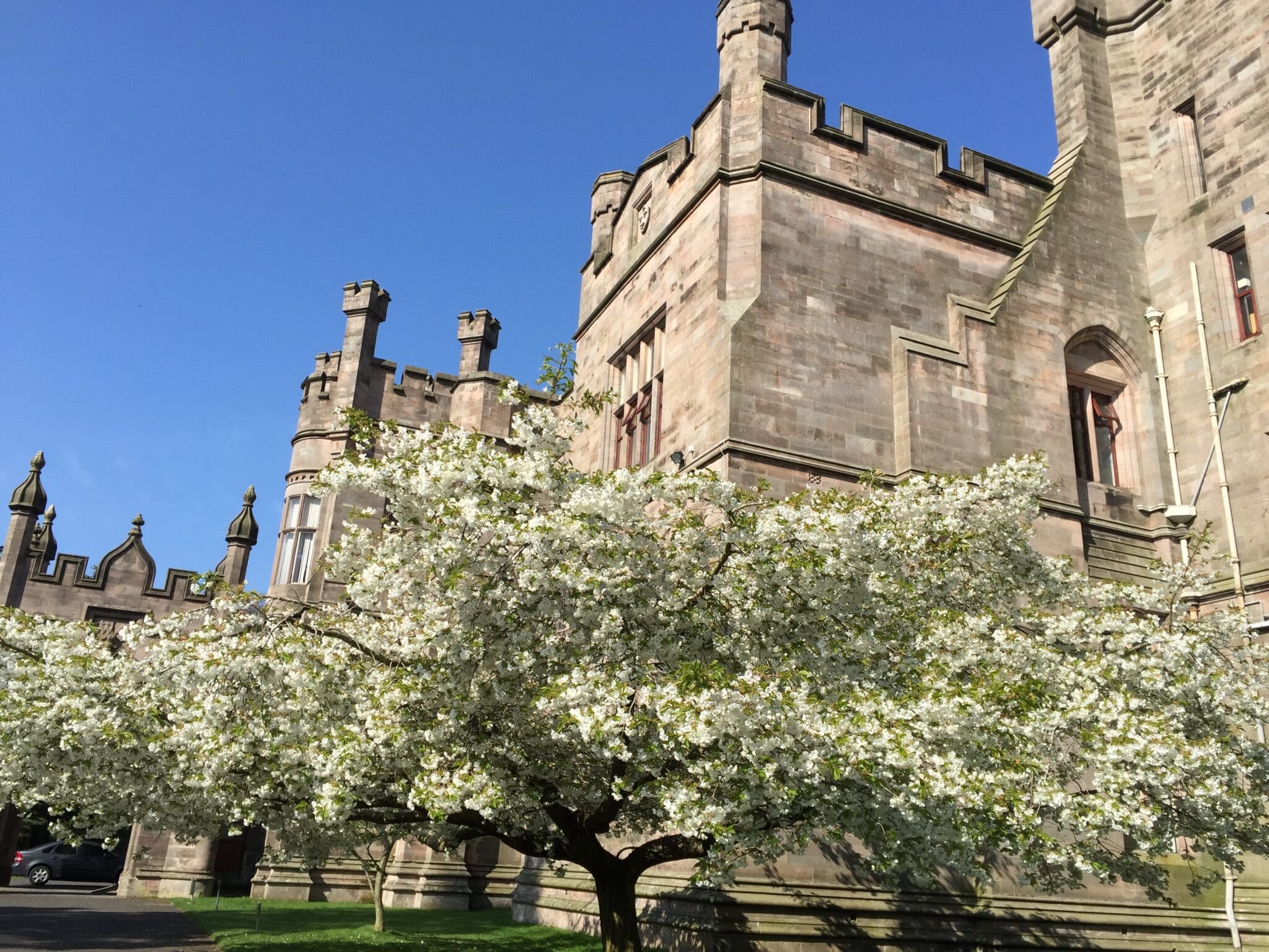 Longridge Towers School — Arts