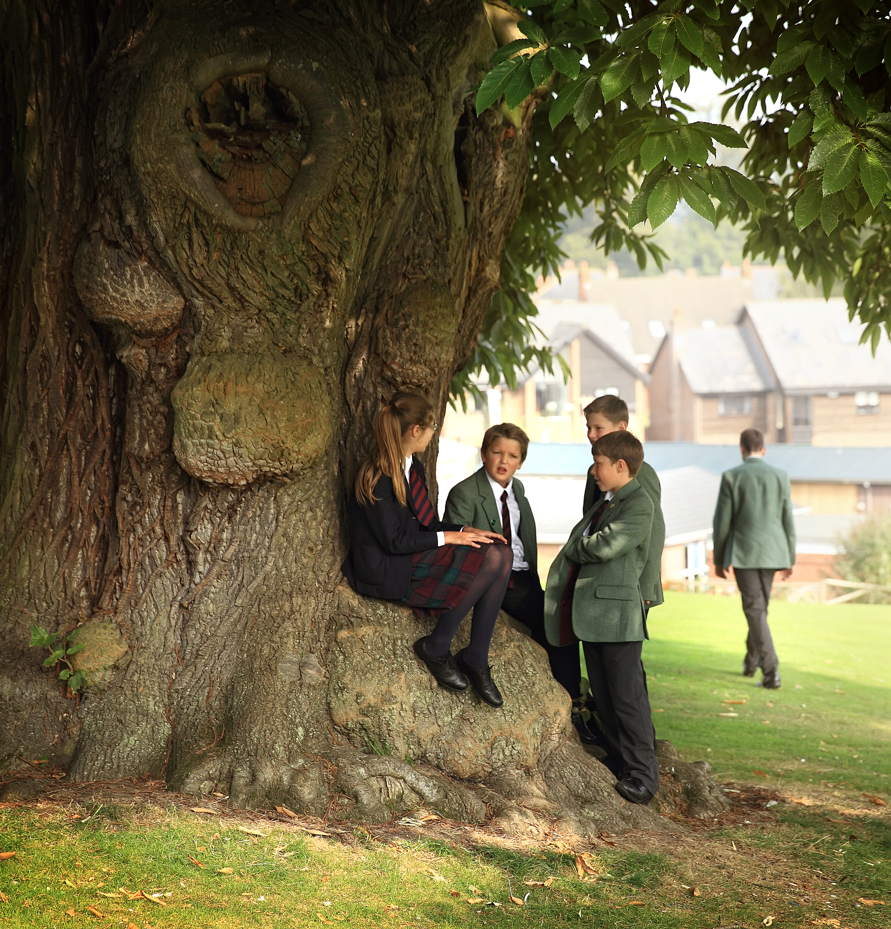 Oswestry School — Arts