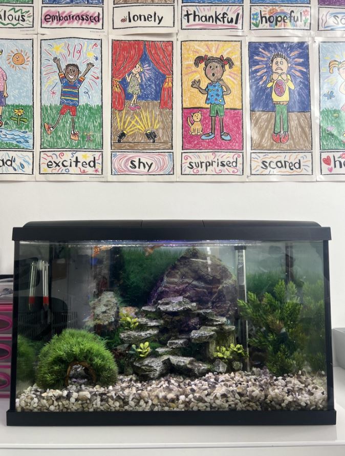 Paradise Primary School — Arts