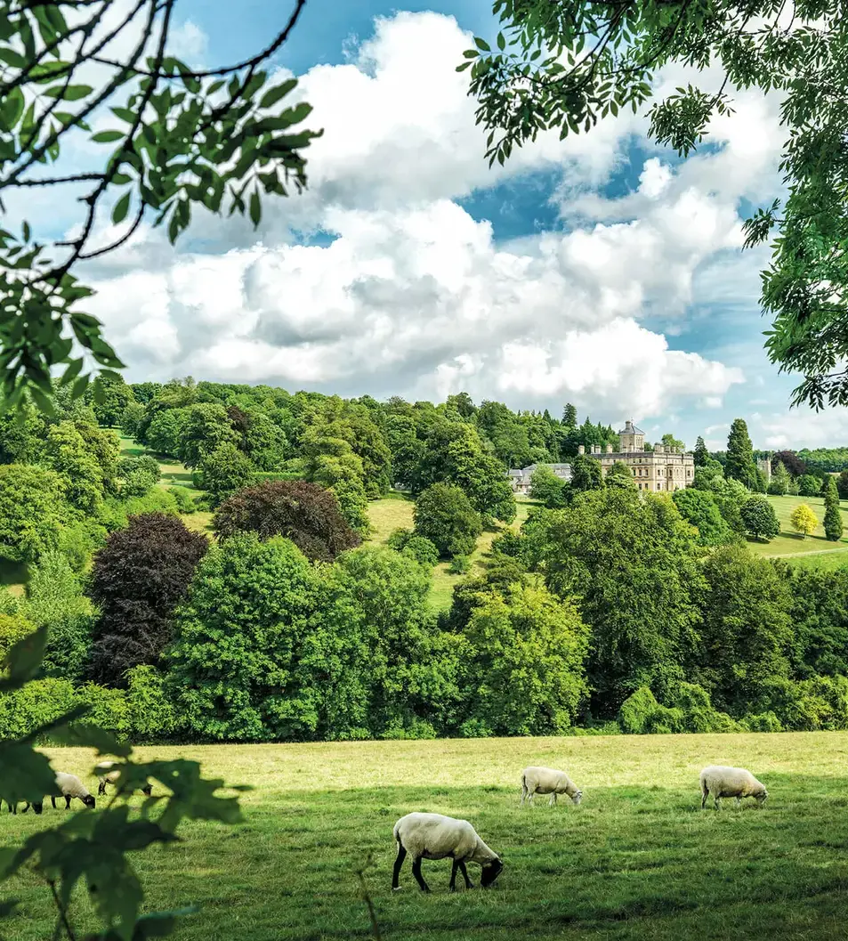 Rendcomb College — Campus