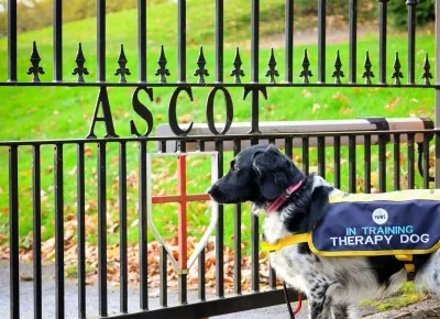St George's School, Ascot — Boarding