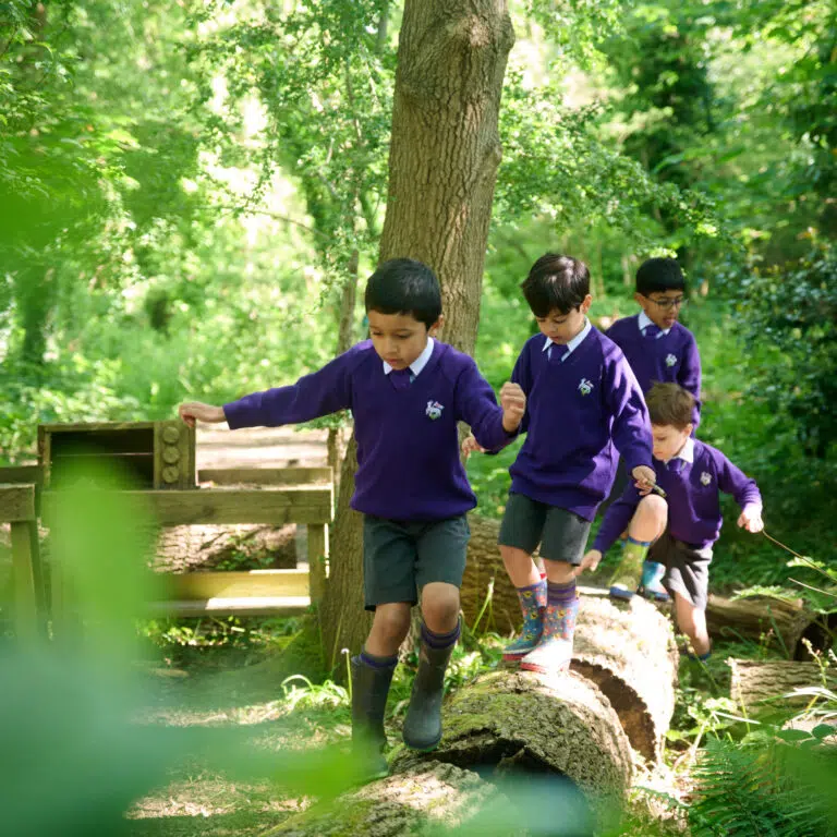St John's School — Arts