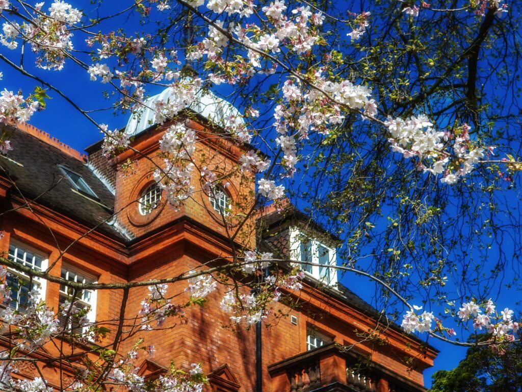 St Mary's School, Hampstead — Campus