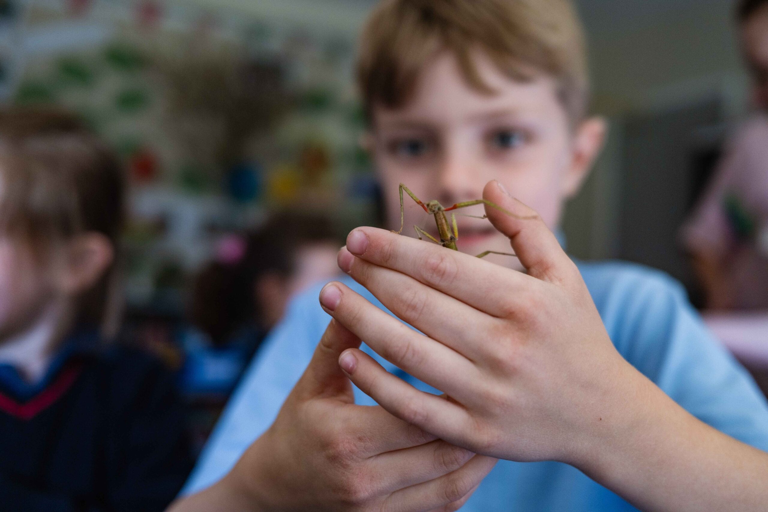 St Neot's School — Arts