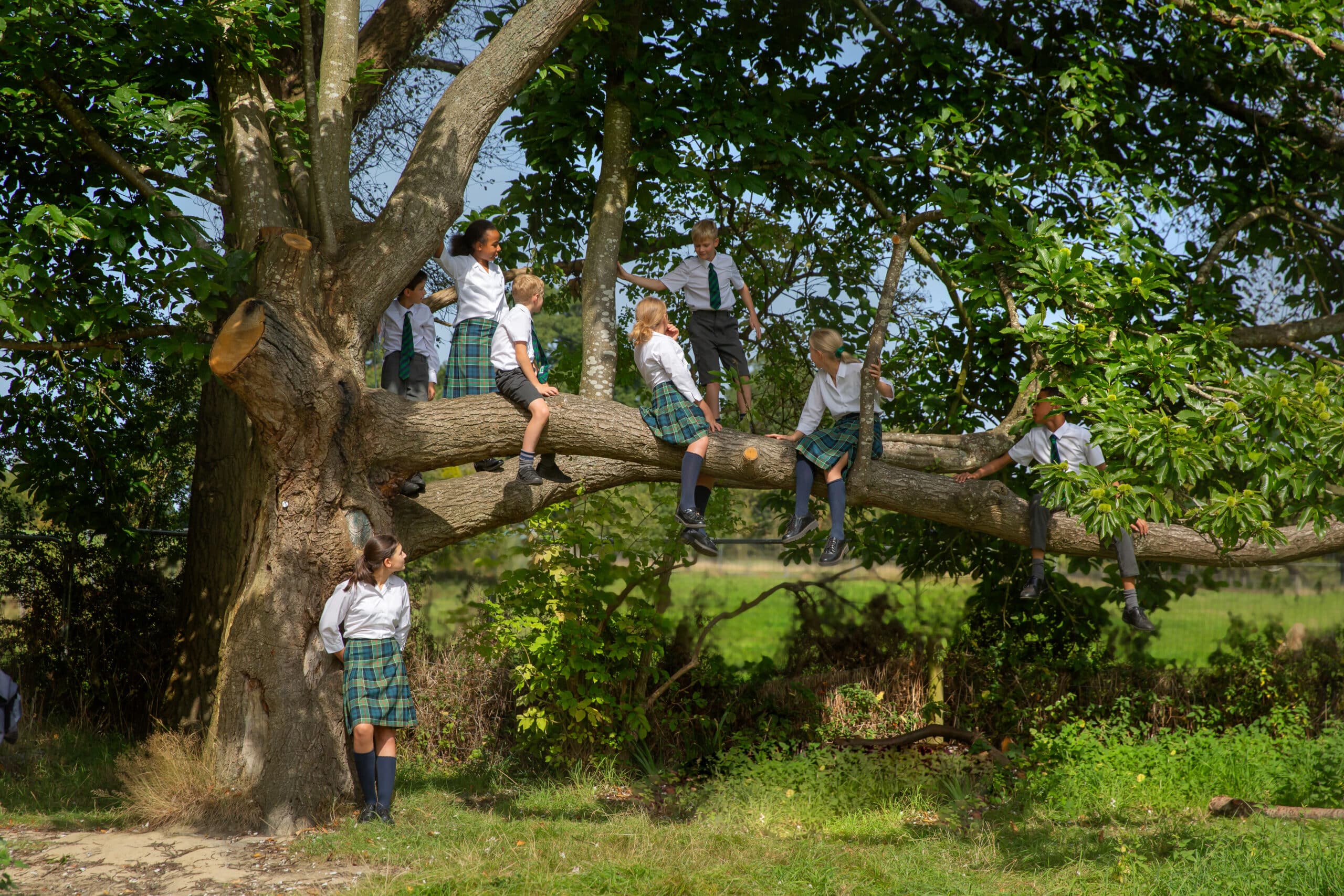 The Downs, Malvern College Prep School — Campus
