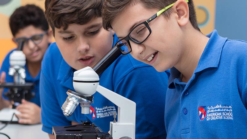 The International School of Creative Science — Sports