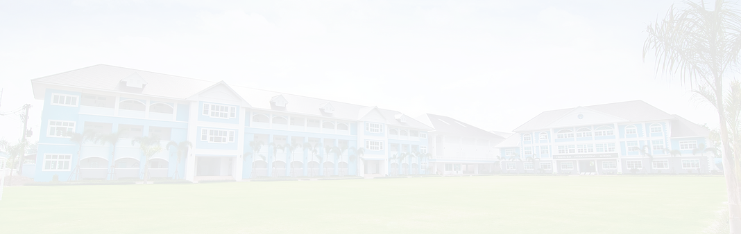Chiang Rai International School — Arts