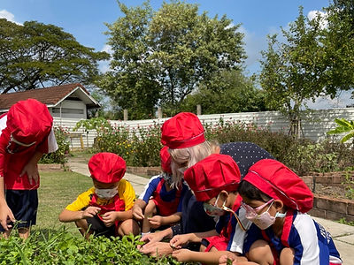 Ruamrudee International School - Early Years Campus — Arts