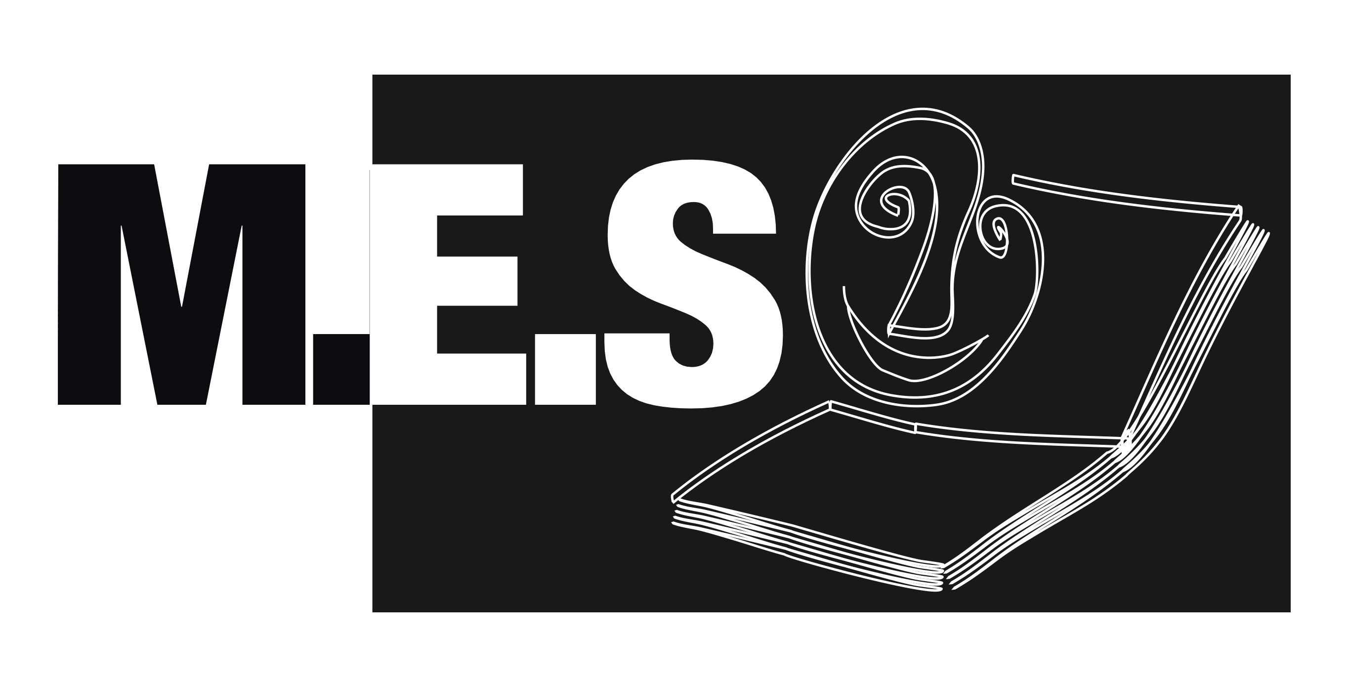 Mutuelle d'Etudes Secondaires logo