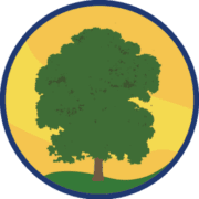 Bradford Christian School logo