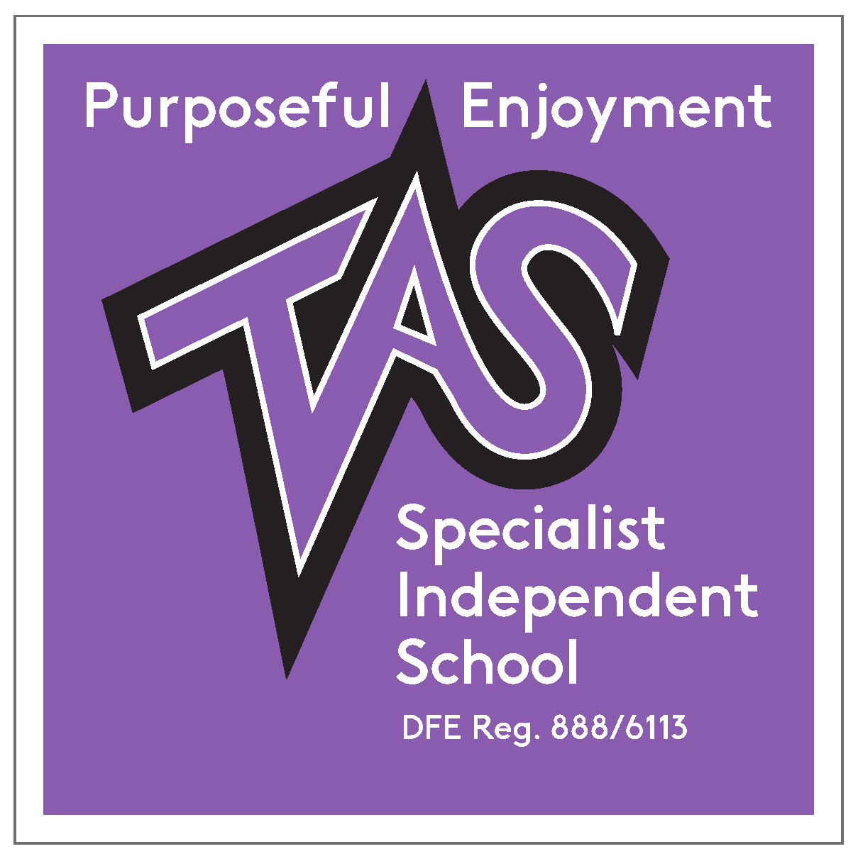 The Alternative School logo