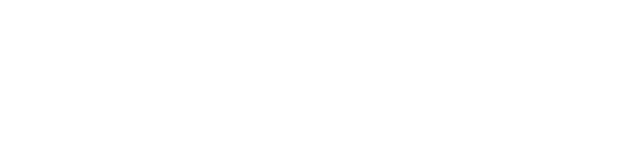 British Mandarin International School logo